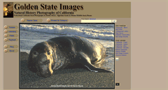 Desktop Screenshot of goldenstateimages.com