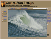 Tablet Screenshot of goldenstateimages.com